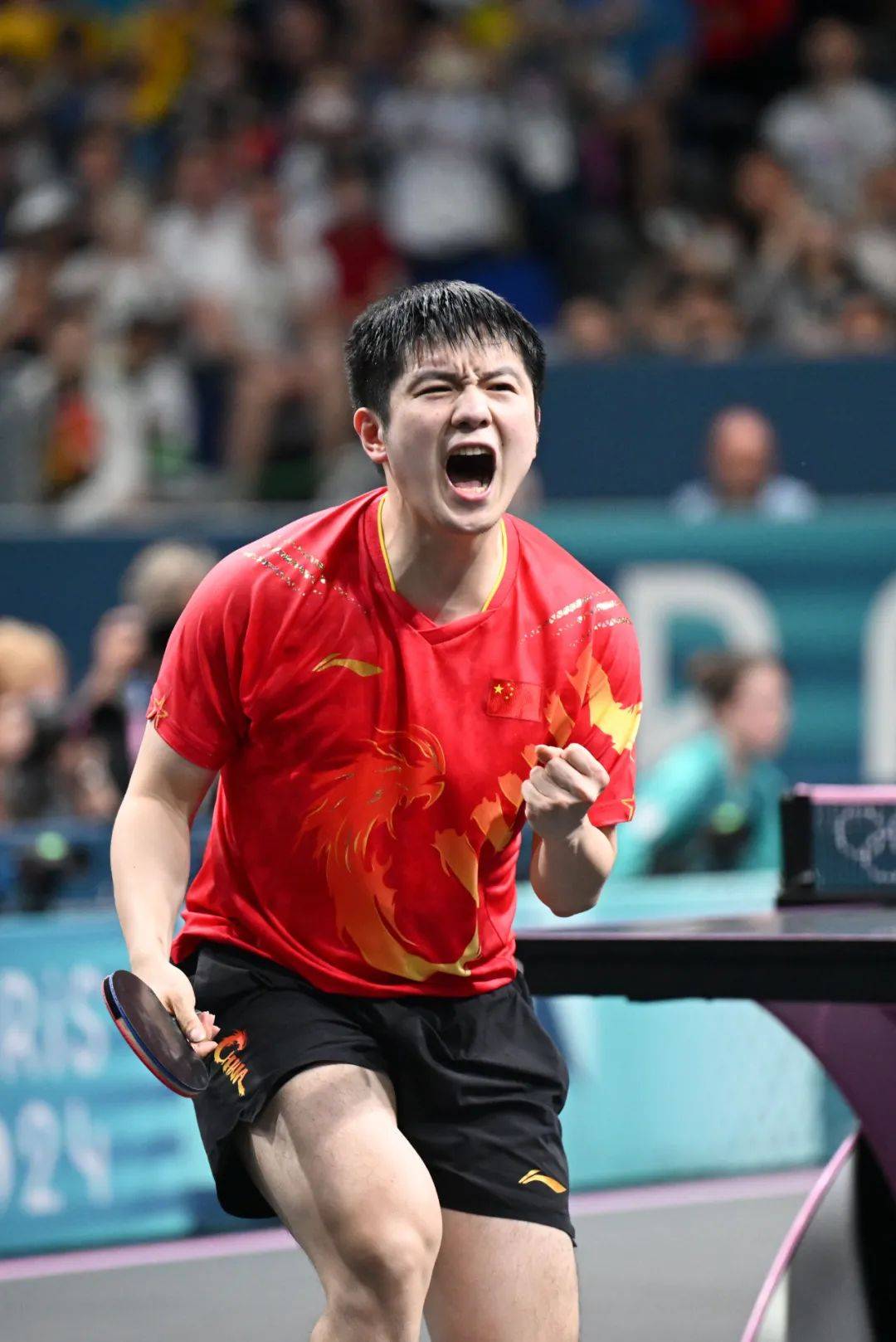 关于日本乒乓球队强势法国乒乓球队，王皓高光表现的信息