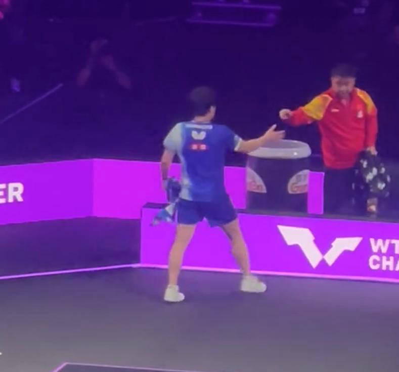 日本队碾压德国队,王皓统治全场 日本队碾压德国队,王皓统治全场