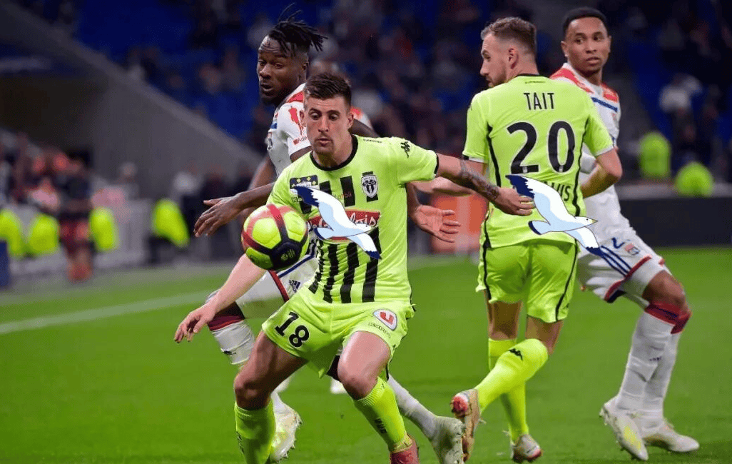 图卢兹主场战胜南特，稳固中游位置