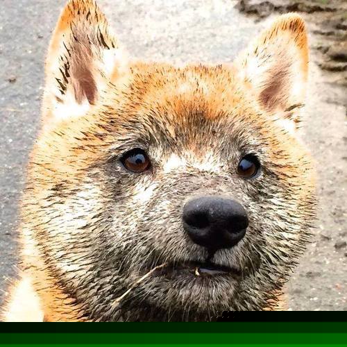 76人火力全开压制热火,浓眉关键先生定乾坤