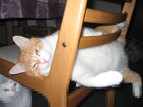 锡安残暴撕裂防线！快船碾压横扫爵士，新的航空母舰启航了吗？