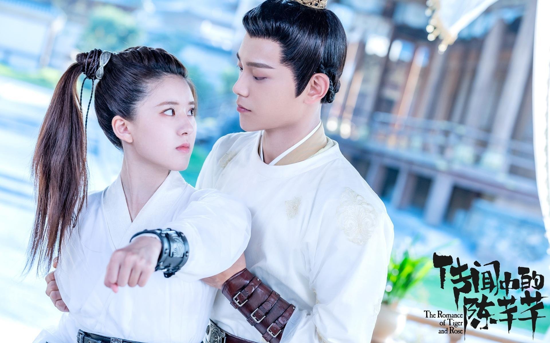 铁闸崩塌之夜,特奥如何用一场比赛改写荷兰足球的进攻密码