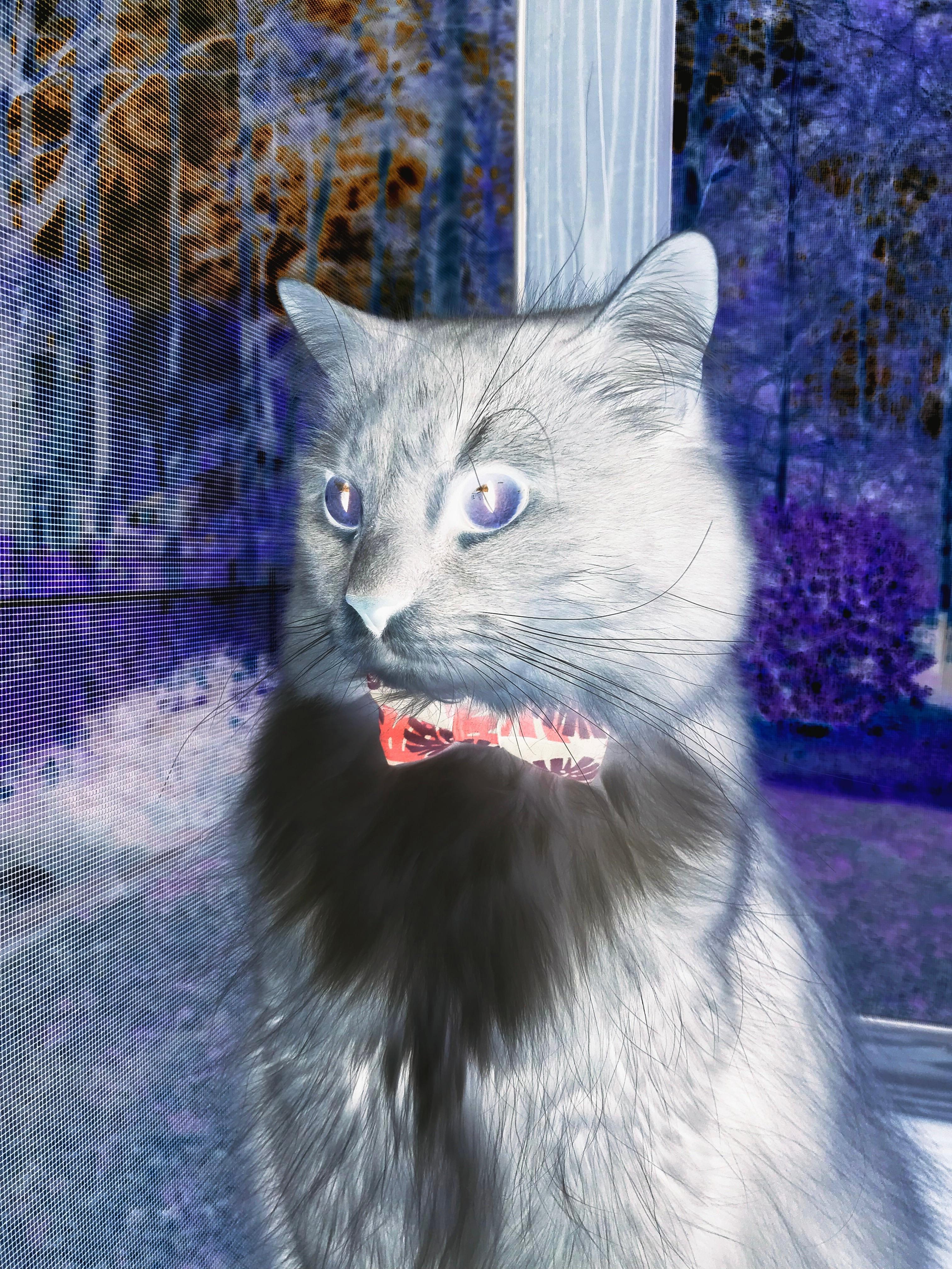 夜幕英雄，2026世界杯之夜的荣耀归于金玟哉