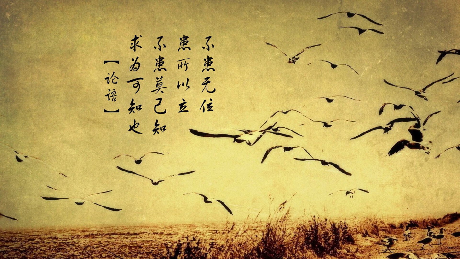 字母哥统治赛场！山西男篮的梦魇之夜，他让悬念二字彻底消失