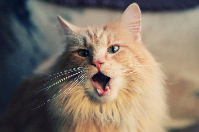 乔治攻防转换如疾风，热火攻守兼备完胜广东队