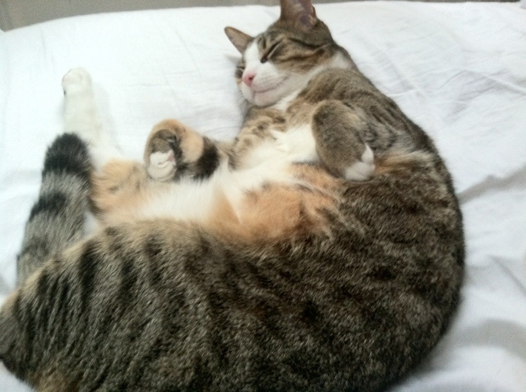 逆境中的血色黎明，太阳生死战背后的救赎与新生