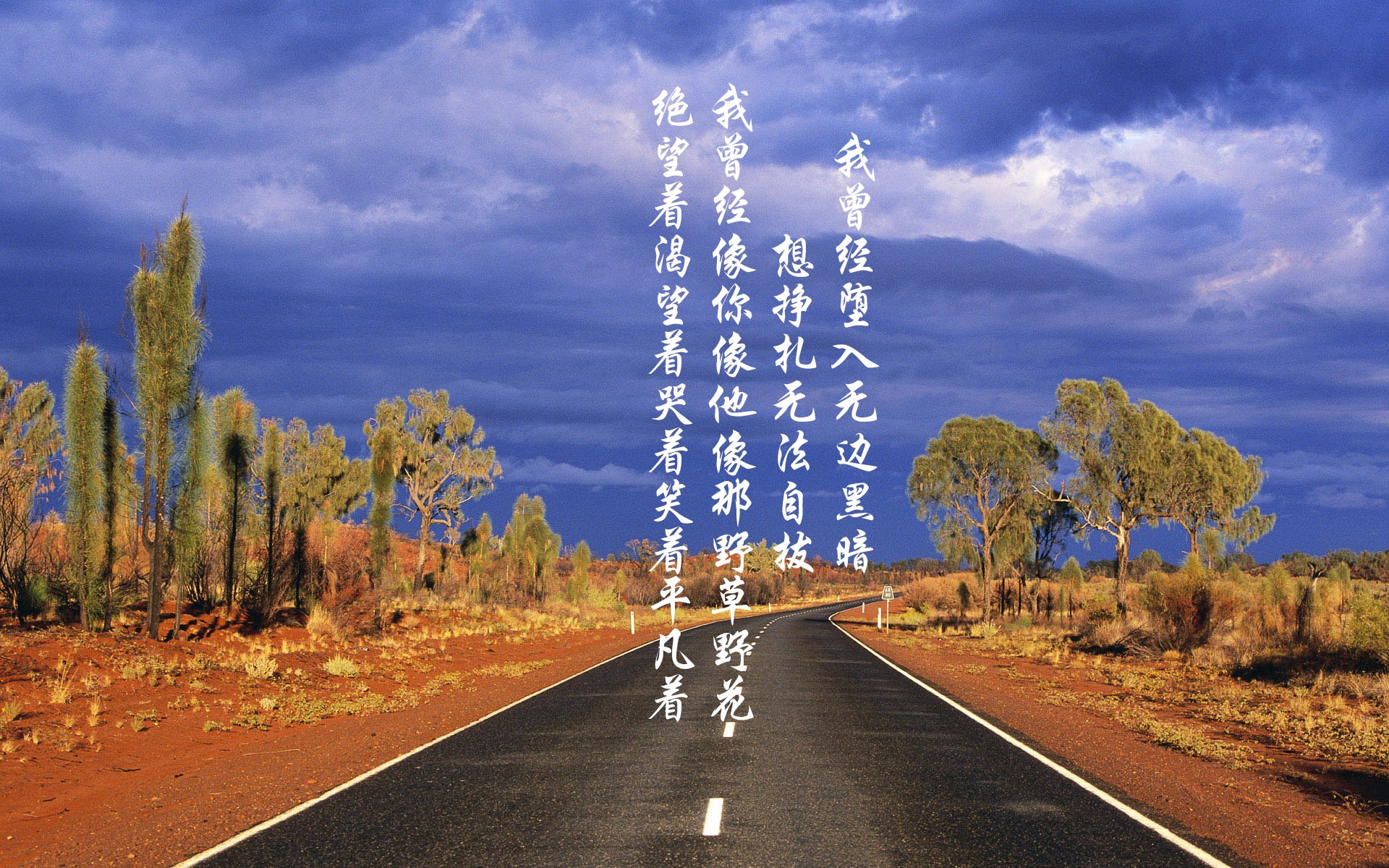 胜利的旋律—观浙江队、福克斯双双获胜有感